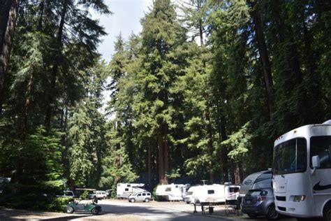 Photo Gallery of Santa Cruz Redwoods RV Resort & RV Park Felton