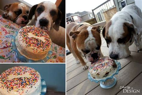 Puppy Cake Recipe Idea - Moms & Munchkins