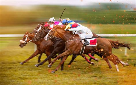 Horse Race Betting Strategy: 5 Ways You Need To Increase Your Skills