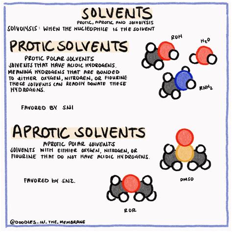 Organic Chemistry - Protic Verus Aprotic Solvent | Organic chemistry, Chemistry, Biochemistry