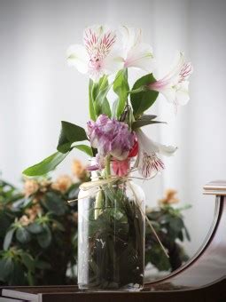 Free Images : branch, blossom, purple, vase, spring, green, flora ...