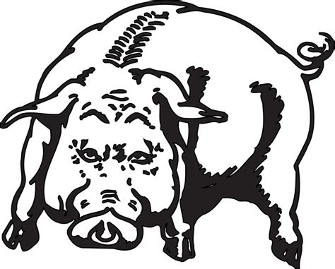 Angry Pig Animal · Free vector graphic on Pixabay