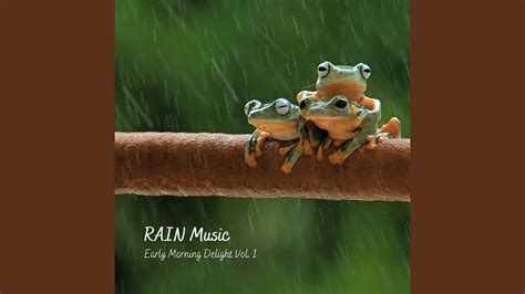 Rain Sound Best Sleep Music - YouTube