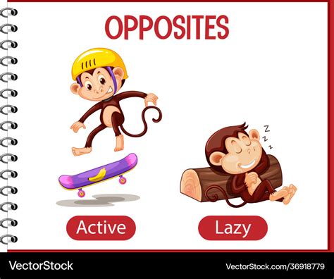 Opposite words with active and lazy Royalty Free Vector