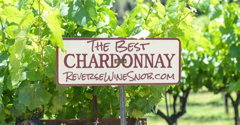 The Best Chardonnay - The Reverse Wine Snob Picks!