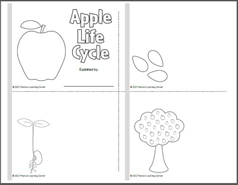 Free Printable Apple Tree Life Cycle Worksheet - Printable Word Searches