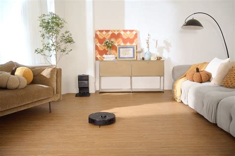 10 Essential Features To Consider When Buying a Robot Vacuum | Roborock