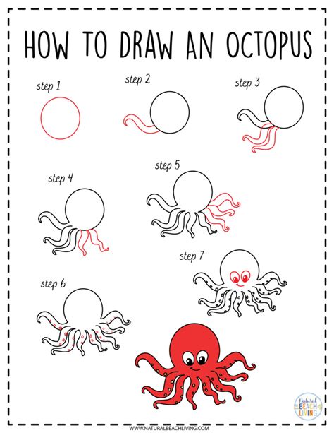 How to Draw Ocean Animals - Natural Beach Living