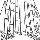 Bamboo Forest Coloring Page 44342 35551 sketch template