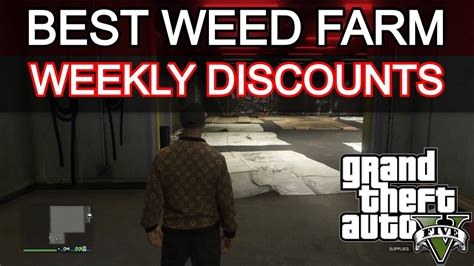 Gta 5 Online | How To Get Best Weed Farm Location | Best Weed Farm To ...