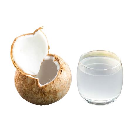 Bulk Coconut Water Single Strength (Organic) - Wholesale Importers