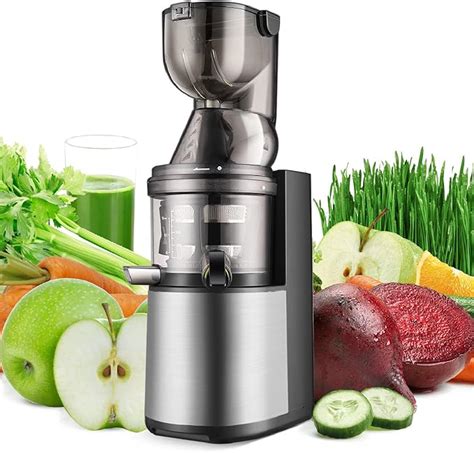 Flexzion Slow Masticating Juicer - Cold Press Machine Juice Extractor ...