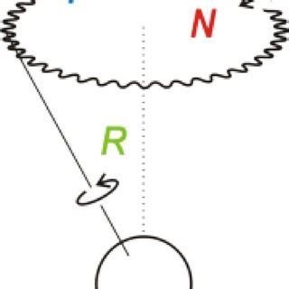 Precession (P) and nutation (N) of the Earth's rotation axis (R ...