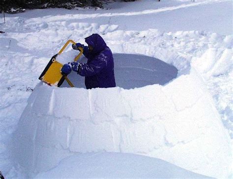 Igloo, Survival, Winter camping