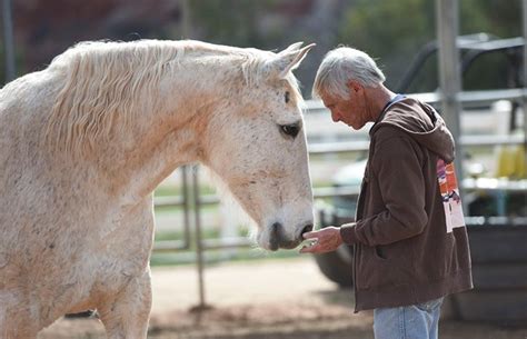 Volunteer Appreciation Week Photos | Best Friends Animal Society