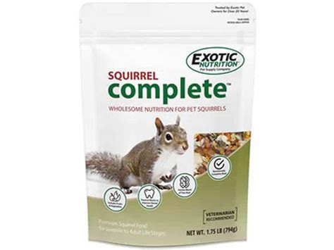 3 Of The Best Wild Squirrel Foods To Feed Your Critters - Squirrel Enthusiast