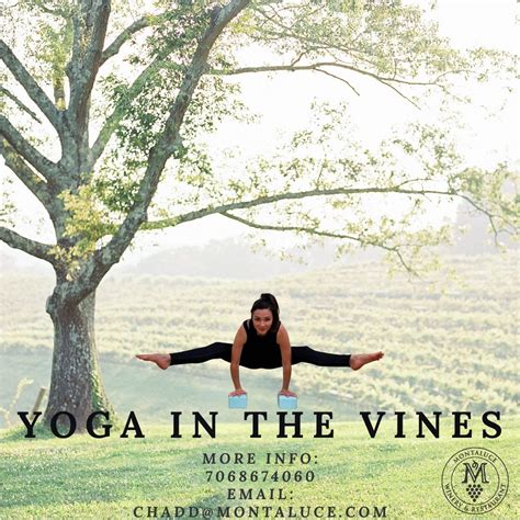 Yoga In the Vines, Montaluce Winery and Restaurant (Montaluce Market), Dahlonega, 9 June 2024 ...