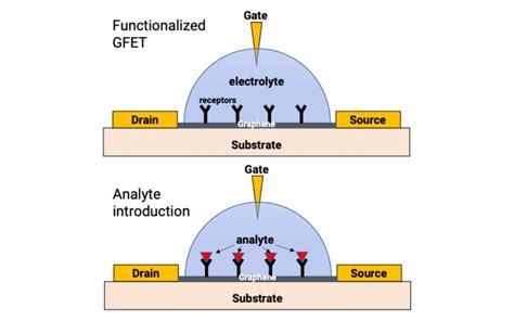 Graphene Sensors | General Graphene Corp | Sensors