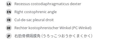 Right costophrenic angle - e-Anatomy - IMAIOS