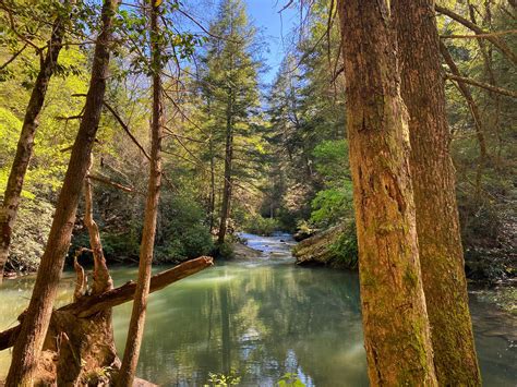 38 best Daniel Boone National Forest images on Pholder | Hiking ...