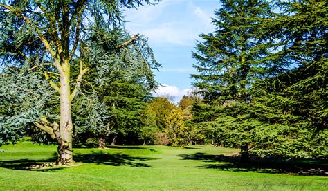 Part Of The Grounds In Elvaston Castle. | Amazing gardens, Photo, Castle