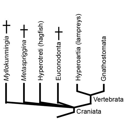 GEOL 331 Principles of Paleontology