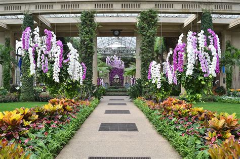 Longwood Gardens Orchid Extravaganza Review - Grading Gardens