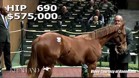 Keeneland November 2014 Sale Recap - YouTube