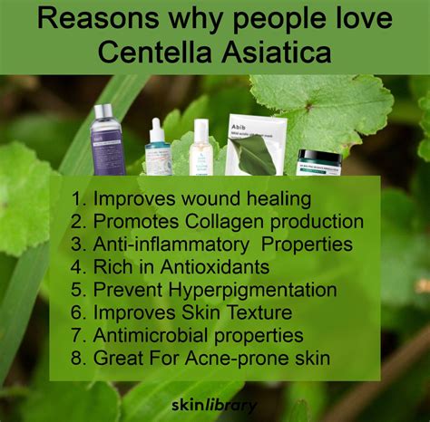 Centella Asiatica aka Cica Skincare benefits | Skin care solutions ...