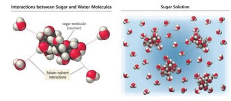 Sugar Molecule In Water