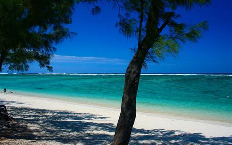 Les plus belles plages de La Réunion à découvrir