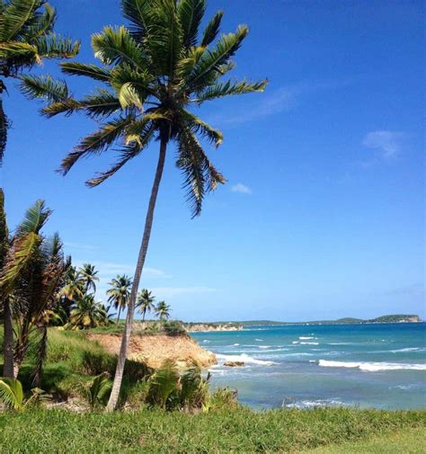 A Guide To Vieques Island Beaches | Vagrants Of The World Travel