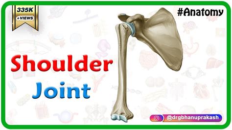 Shoulder joint Anatomy - Ligaments, Movements, Blood supply , Nerve supply and Clinical anatomy ...