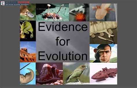 Evidence of Evolution - All Types of Evidence in Favour of Evolution