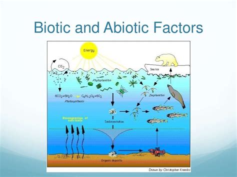 Ocean Ecosystem Biotic And Abiotic Factors