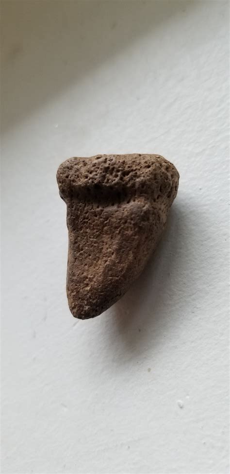 Fossilized tooth or perfectly shaped rock? - Fossil ID - The Fossil Forum