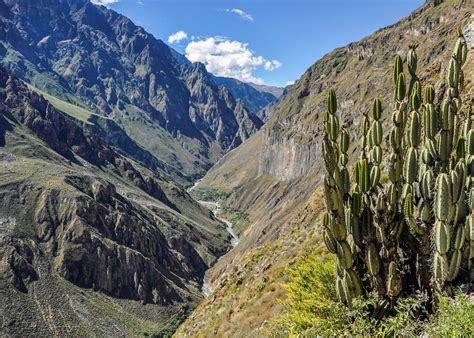 Visit Colca Canyon on a trip to Peru | Audley Travel