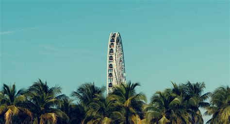 Miami's Ferris Wheel is the New Iconic Fixture of Miami's Skyline - Worldwide Title