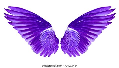 3,736 Angel Wings Purple Images, Stock Photos & Vectors | Shutterstock