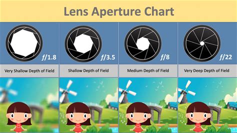 Camera Lens Guide: Which Lens Should You Use? - KewlTek Photography