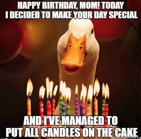 101 "Happy Birthday Mom" Memes for the Best Mother in the World