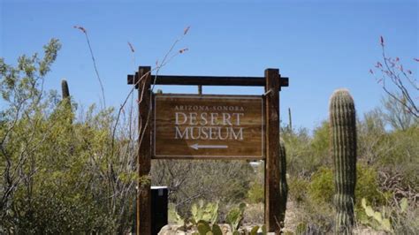 Arizona-Sonora Desert Museum - Tucson, AZ | Tucsonan