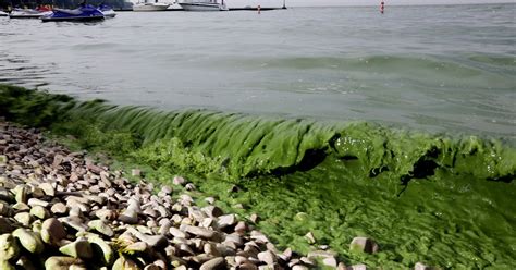 Lake Erie algae blooms: Fertilizer runoff still a problem