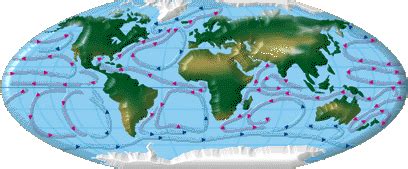 Global Ocean Currents Animation