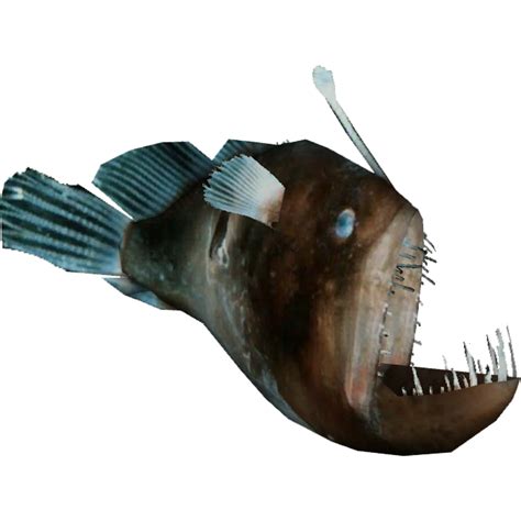 Humpback Anglerfish (Whalebite) | ZT2 Download Library Wiki | Fandom