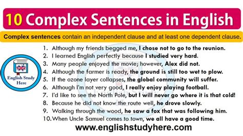 10 Complex Sentences in English