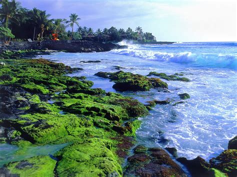 World Visits: Big Island Of Hawaii Best Family Vacation Spot