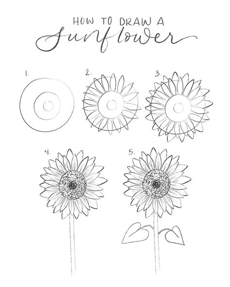 How to draw a sunflower in 5 easy steps: 1. Draw 3 circles starting with a large, then a medium ...