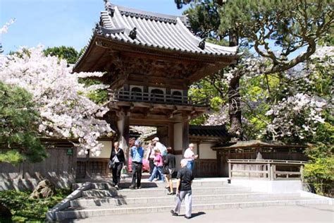 Spring is in Bloom at the Japanese Tea Garden | Marin Mommies