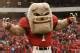Georgia Football: Bulldog Haters, Stop Whining About UGA's “Weak” Schedule | Bleacher Report ...